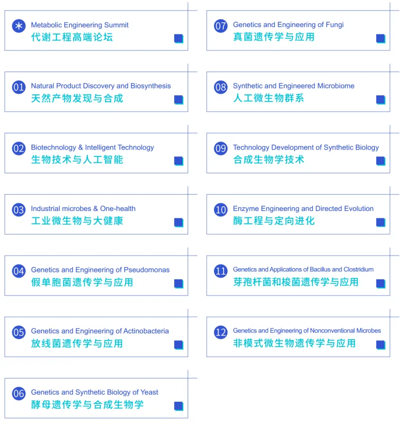 43608572_1753950963.webp
